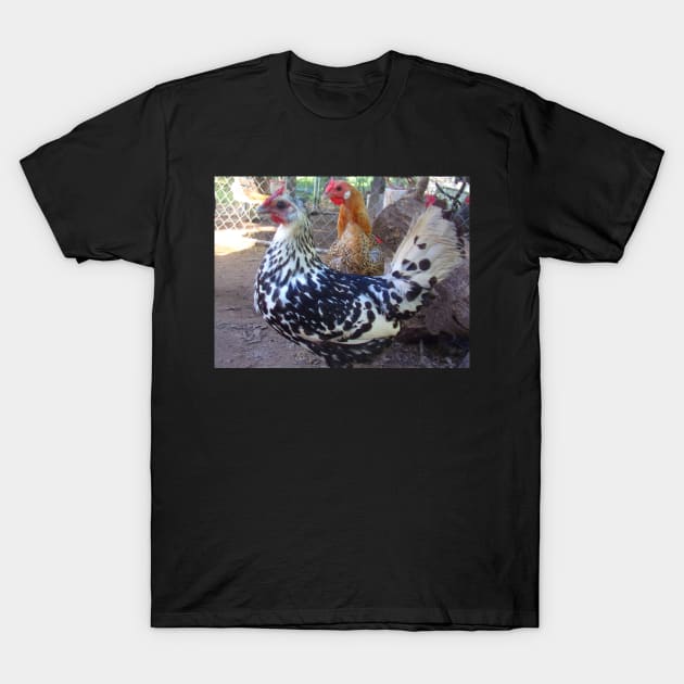 Hamburg Hens T-Shirt by TrapperWeasel